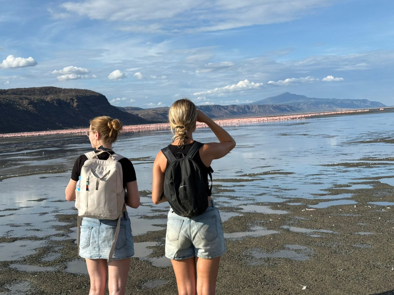 website femke buijs review