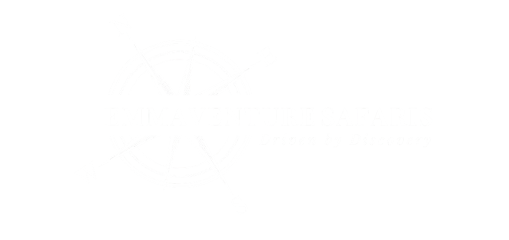 emmventure logos white