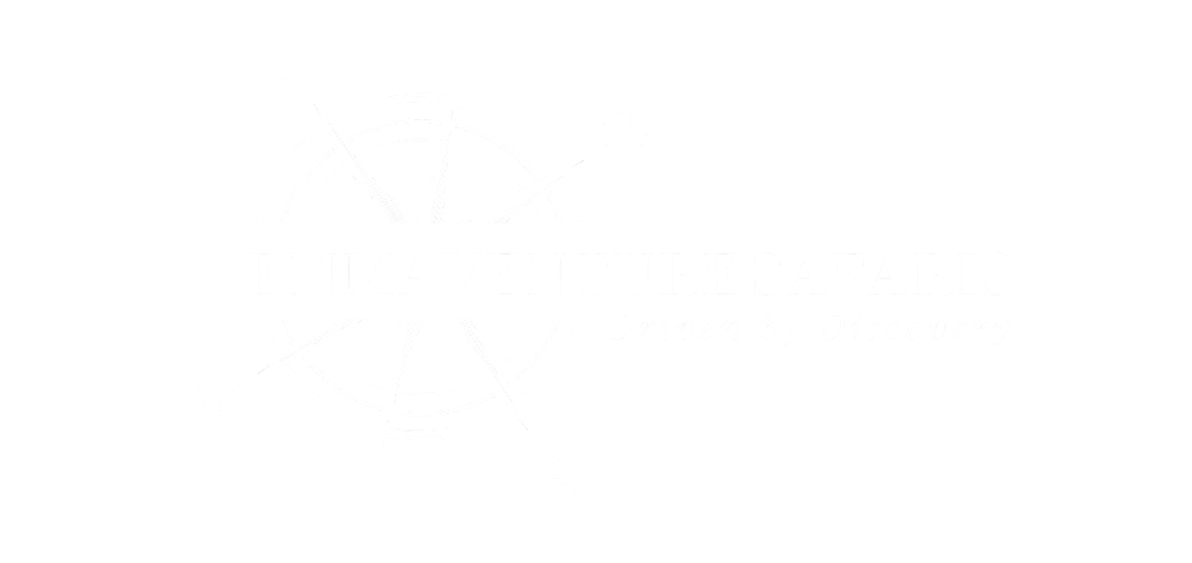 emmventure logos white